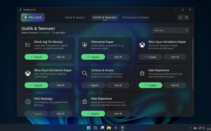WinSAS Windows İnce Ayar ve Sistem Hafifletme Ekran Görüntüsü